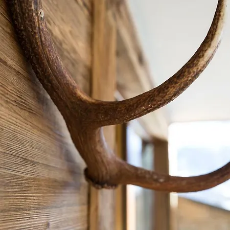 Naturlodge Ehemals Alpenlodge Alexander Apartmán Ladis