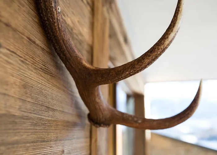 Naturlodge 公寓 拉迪斯