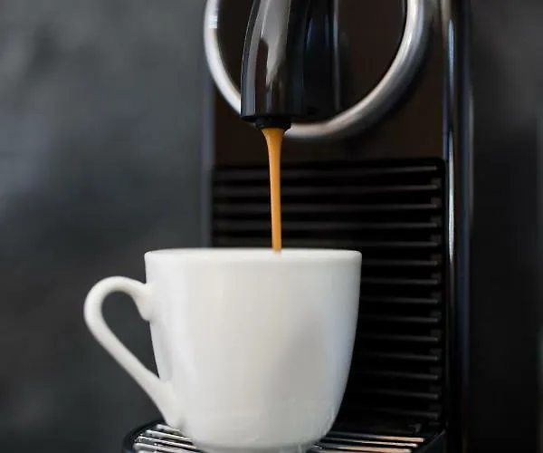 Naturlodge 拉迪斯