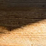 Naturlodge *