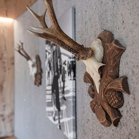 Apartment Naturlodge Ehemals Alpenlodge Alexander Inklusive Sommer Bergbahnticket *